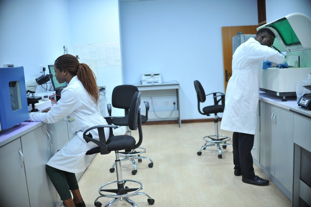 Healthcare professional collecting a blood sample from a patient for routine laboratory testing.